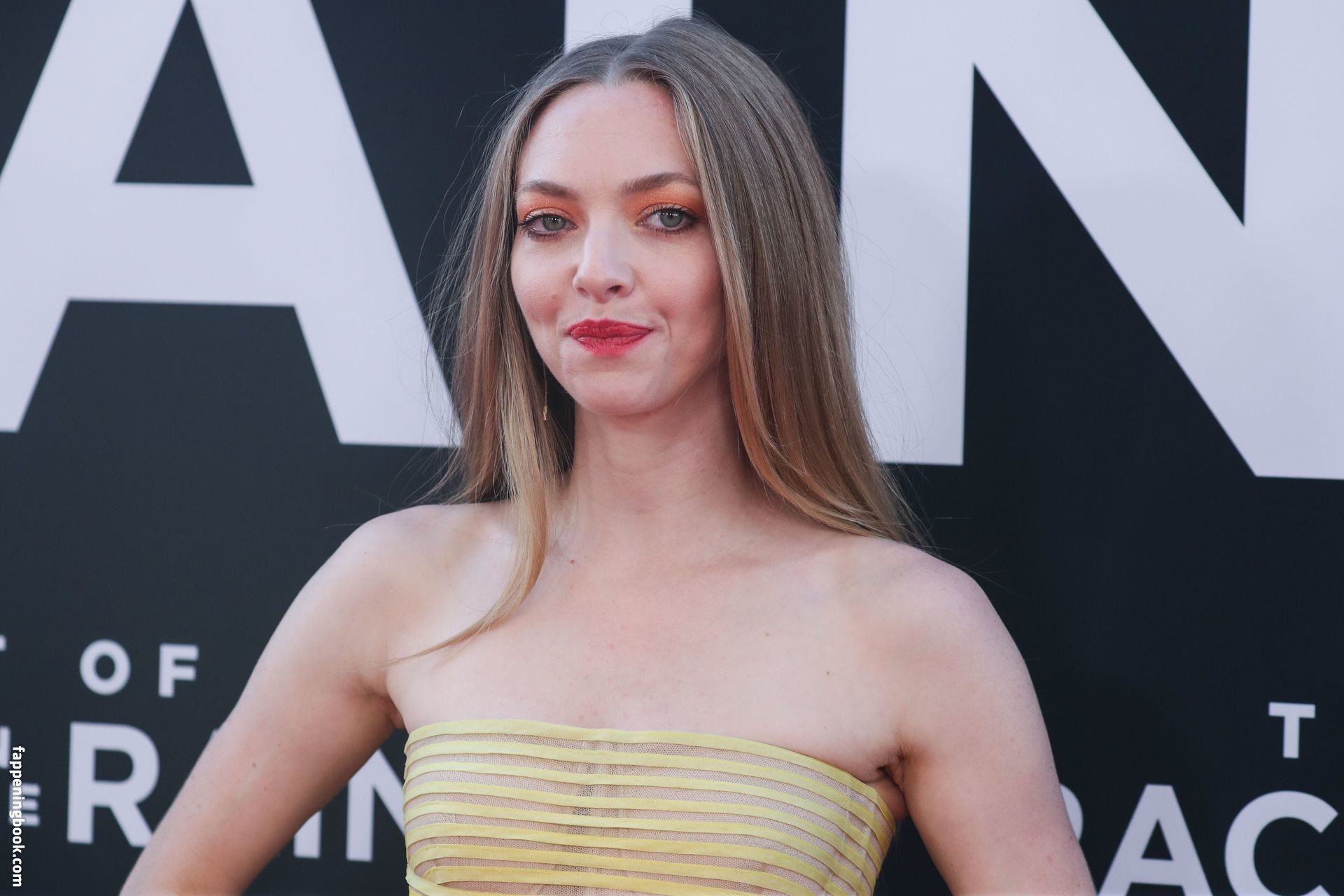 Amanda Seyfried Nude The Girl Girl