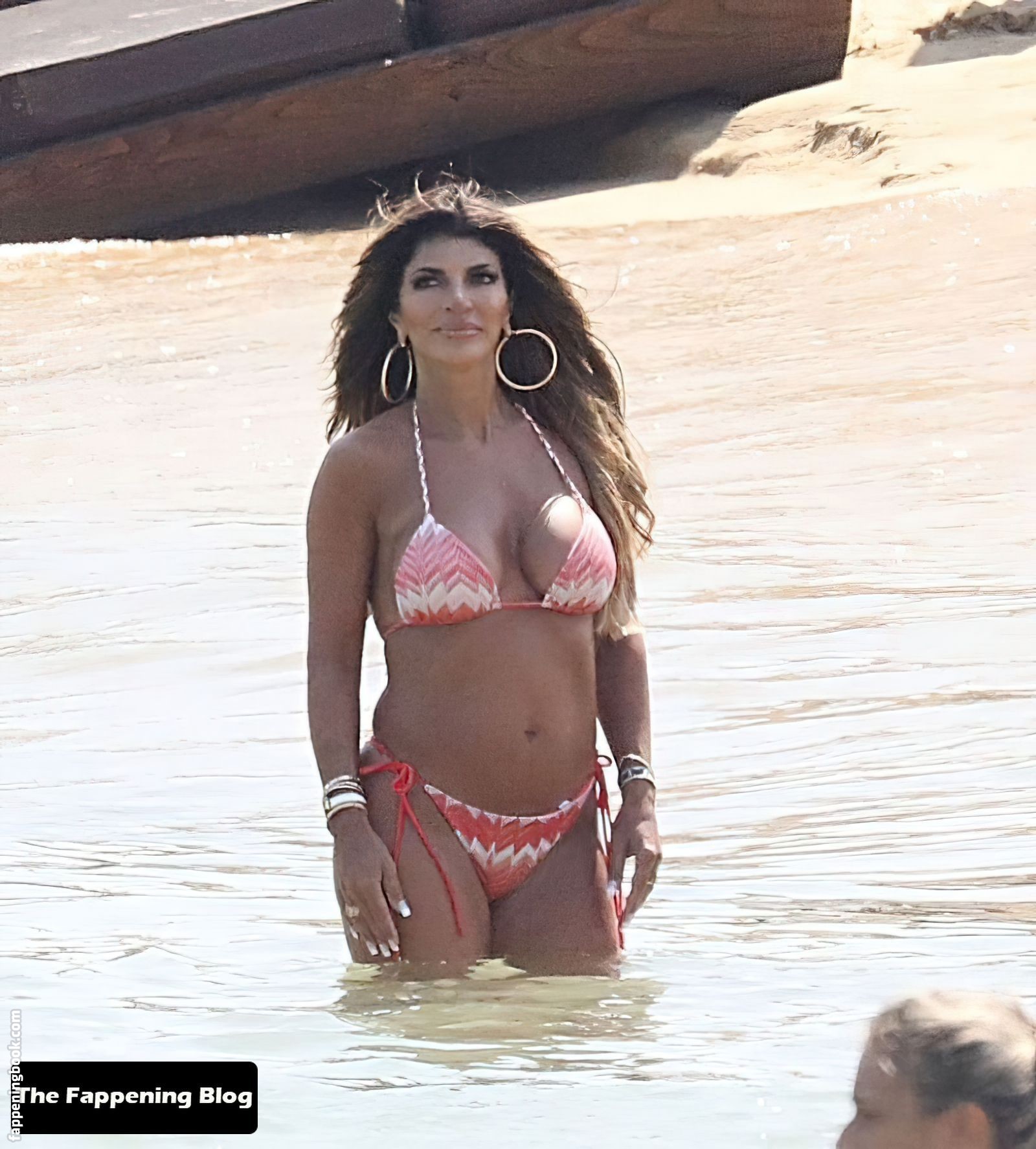 Teresa Giudice Nude OnlyFans Leaks Fappening Page 8 FappeningBook