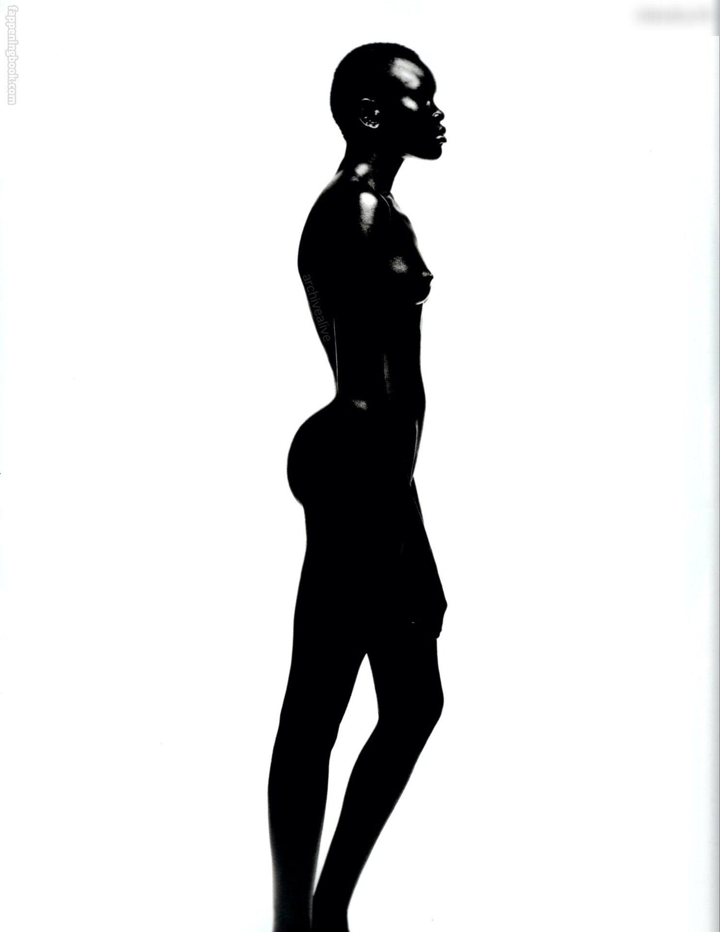 Alek Wek Nude