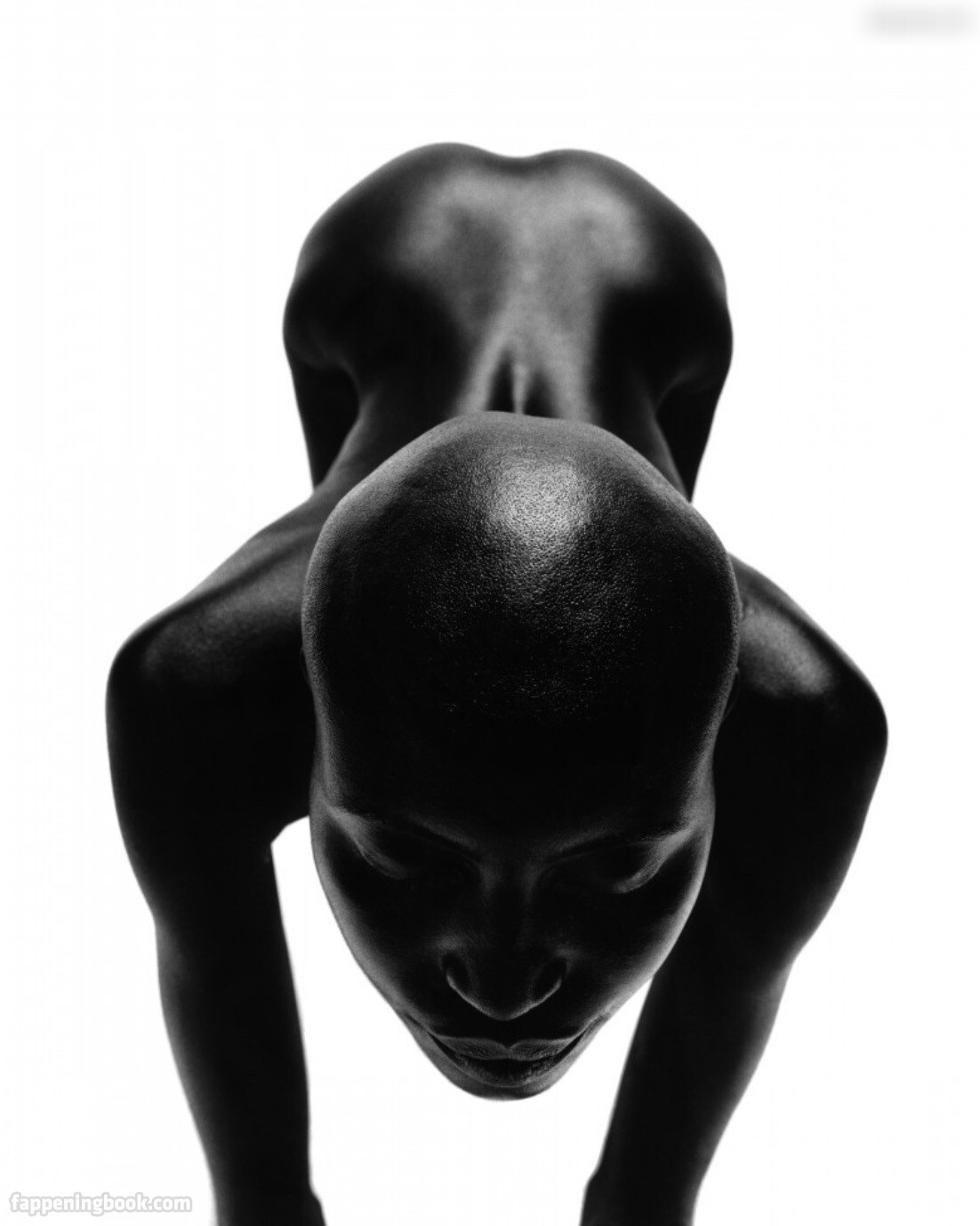 Alek Wek Nude