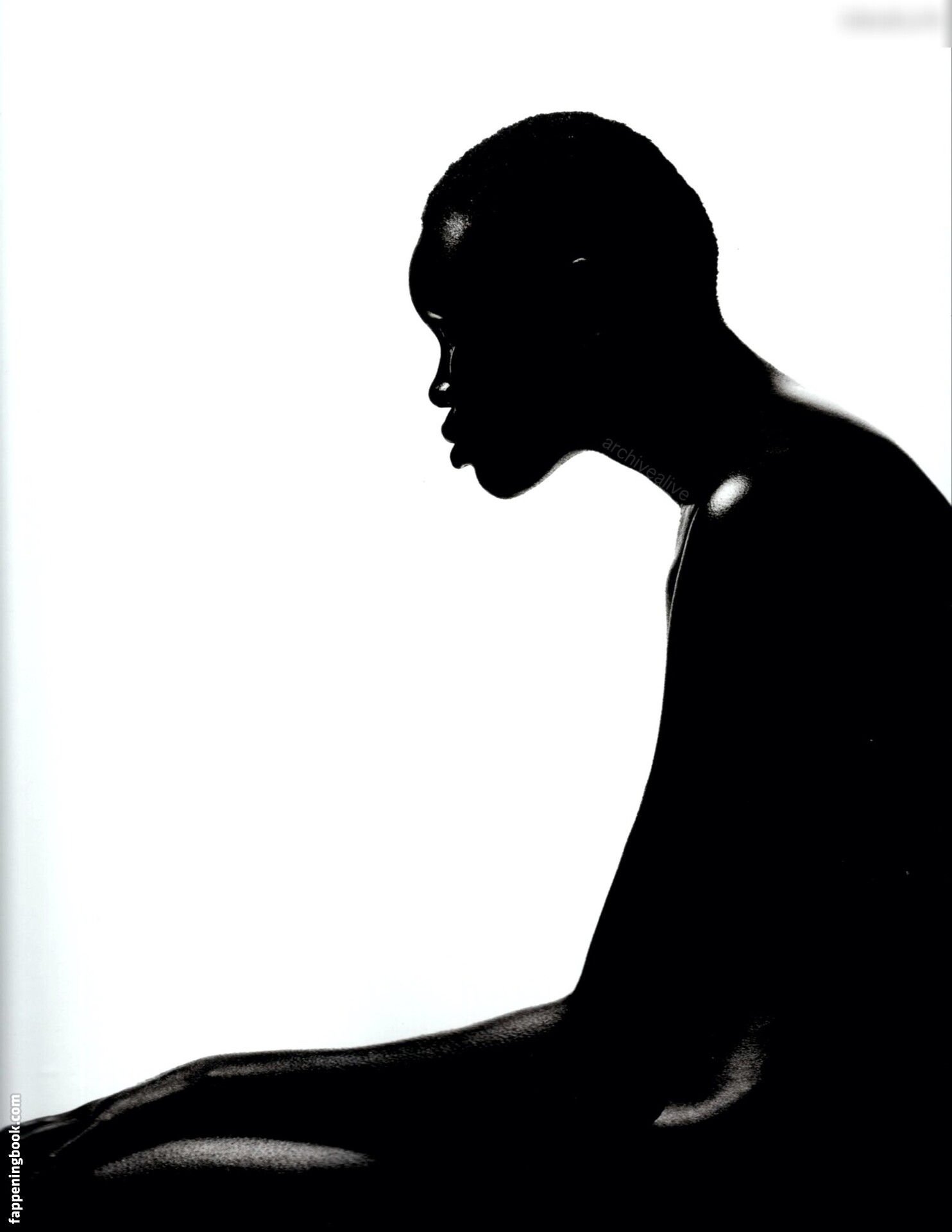 Alek Wek Nude