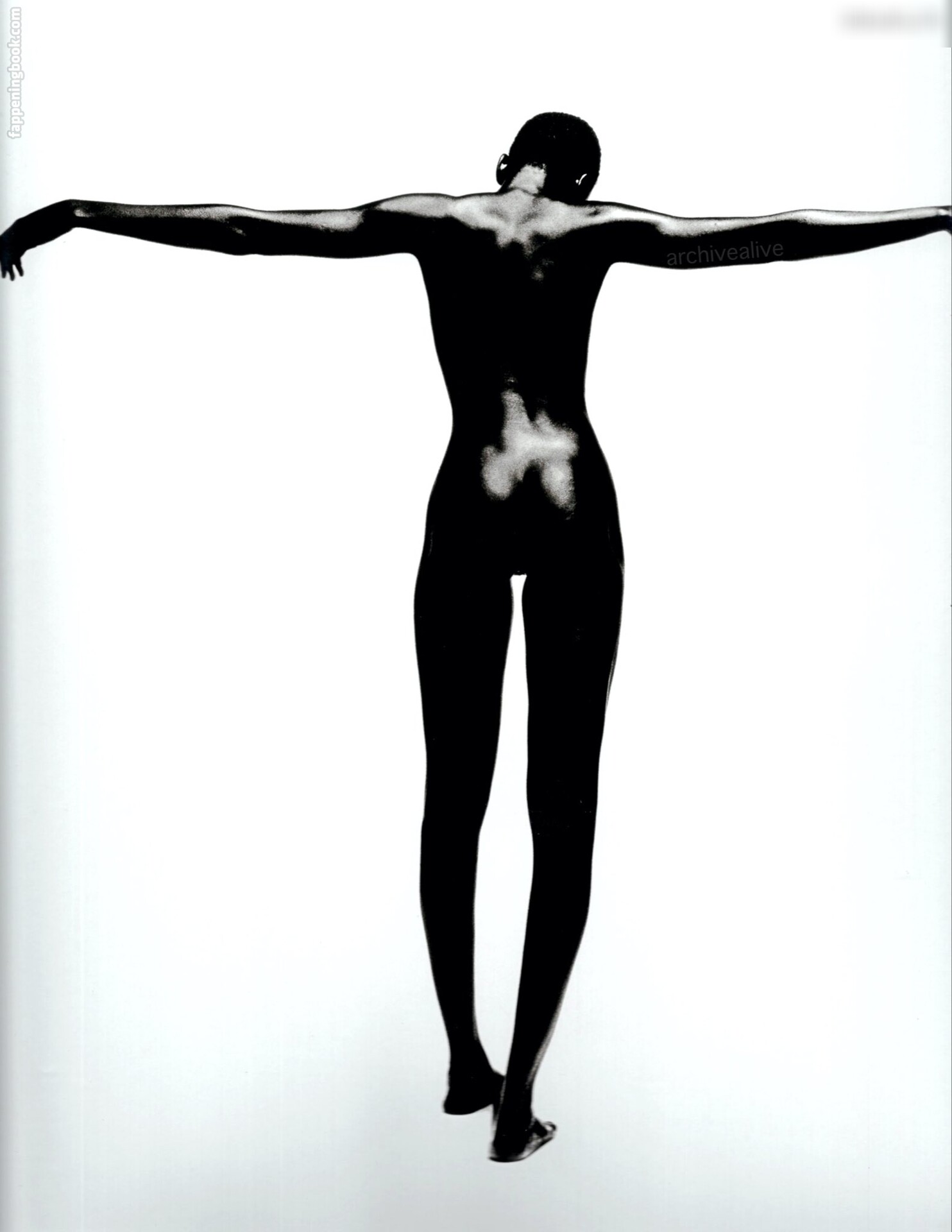 Alek Wek Nude