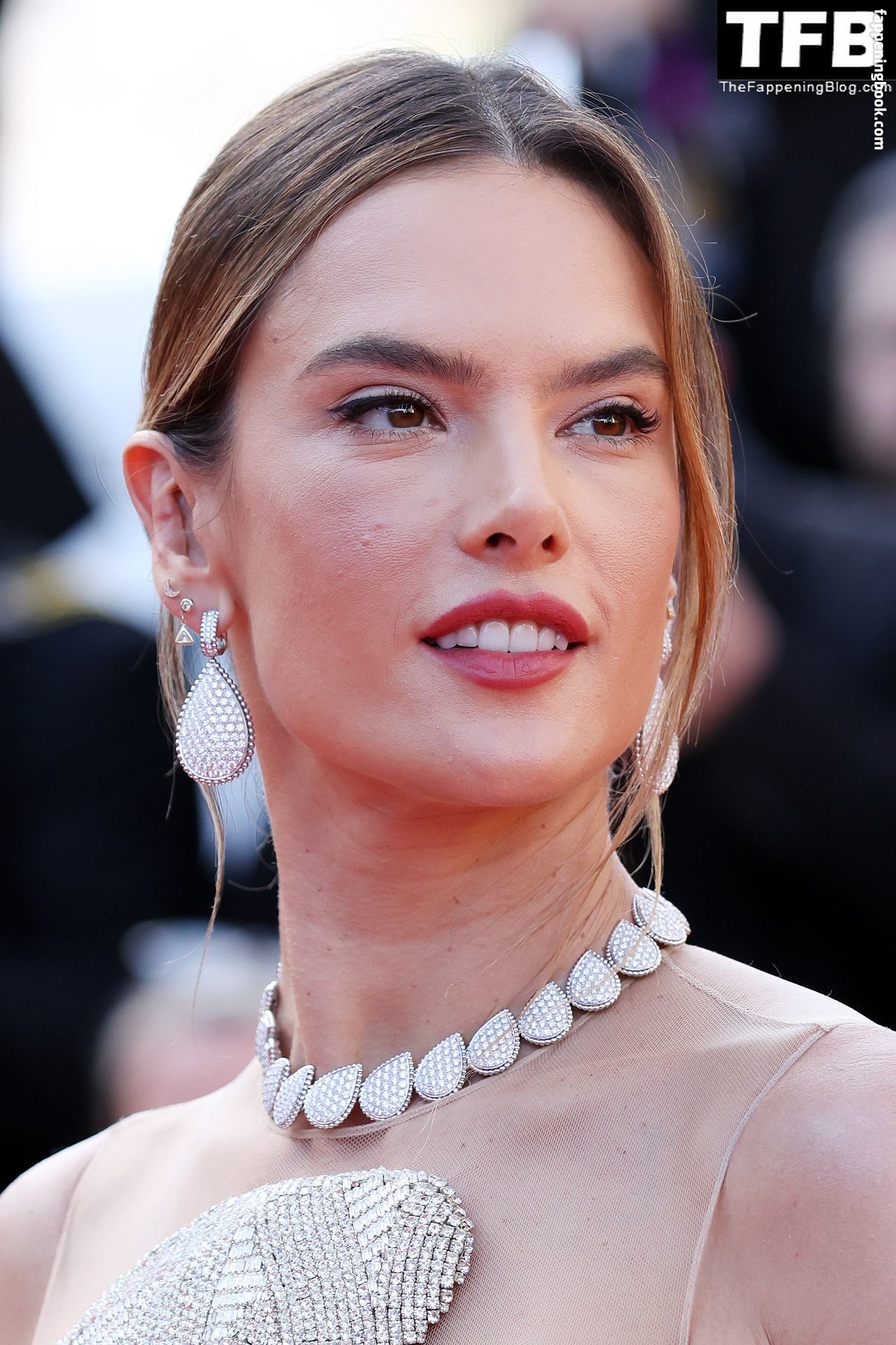 Alessandra Ambrosio / alessandraambrosio Nude, The Fappening - Photo #1848972 - FappeningBook