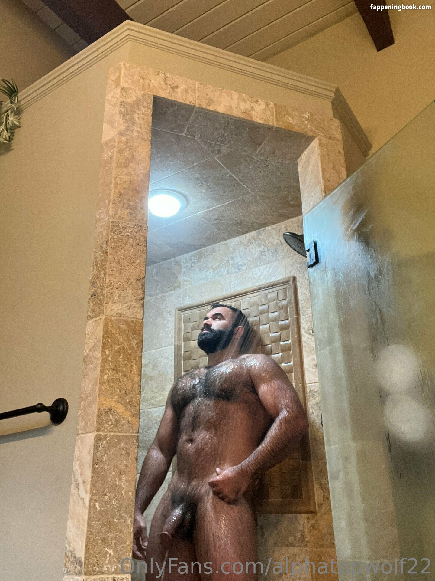 alphatopwolf22 Nude OnlyFans Leaks