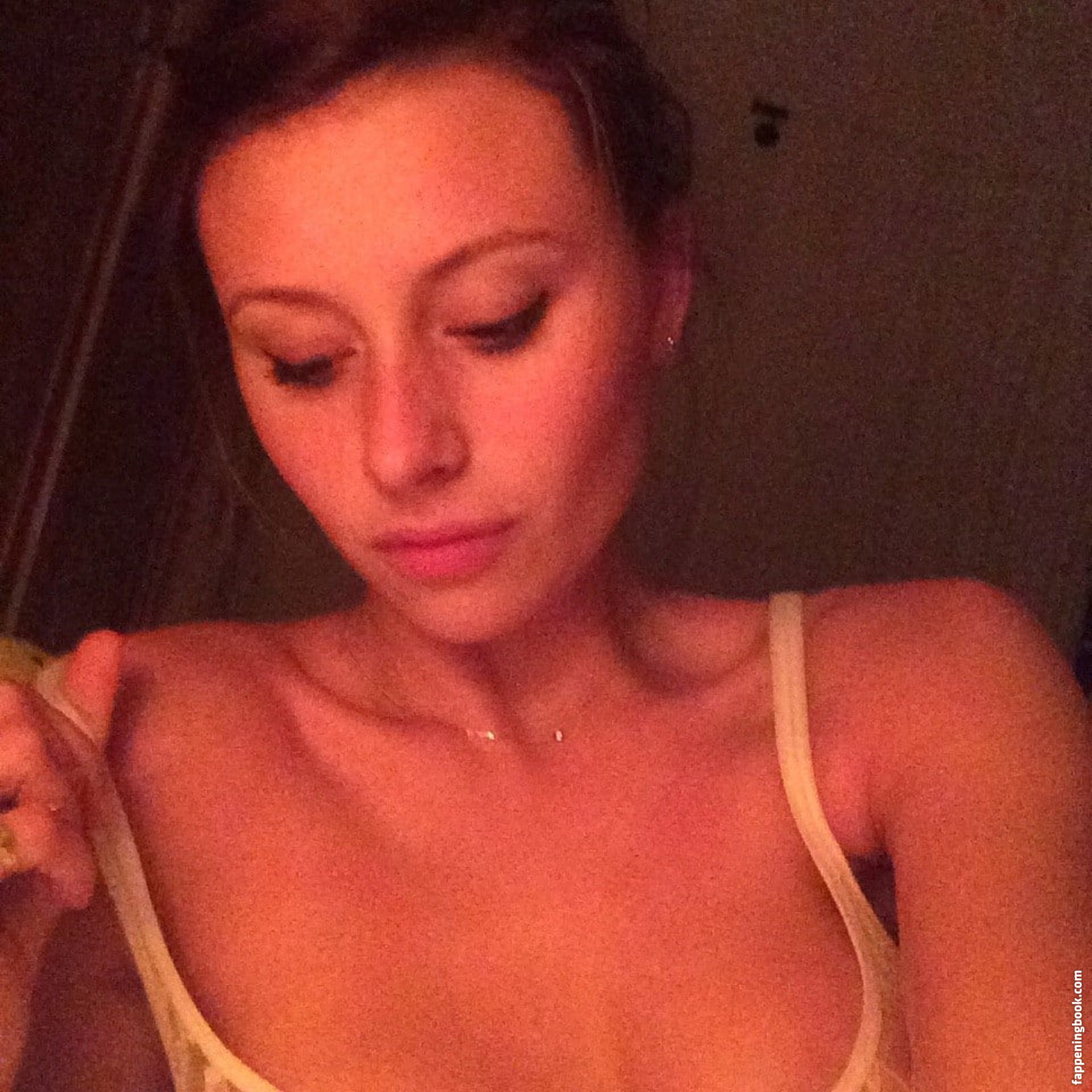 Aly Michalka Nude