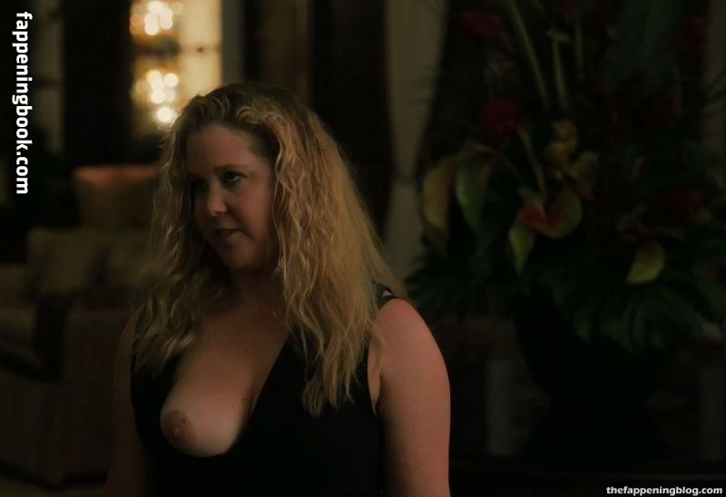 Amy Schumer Nude, The Fappening - Photo #1349586 - FappeningBook.