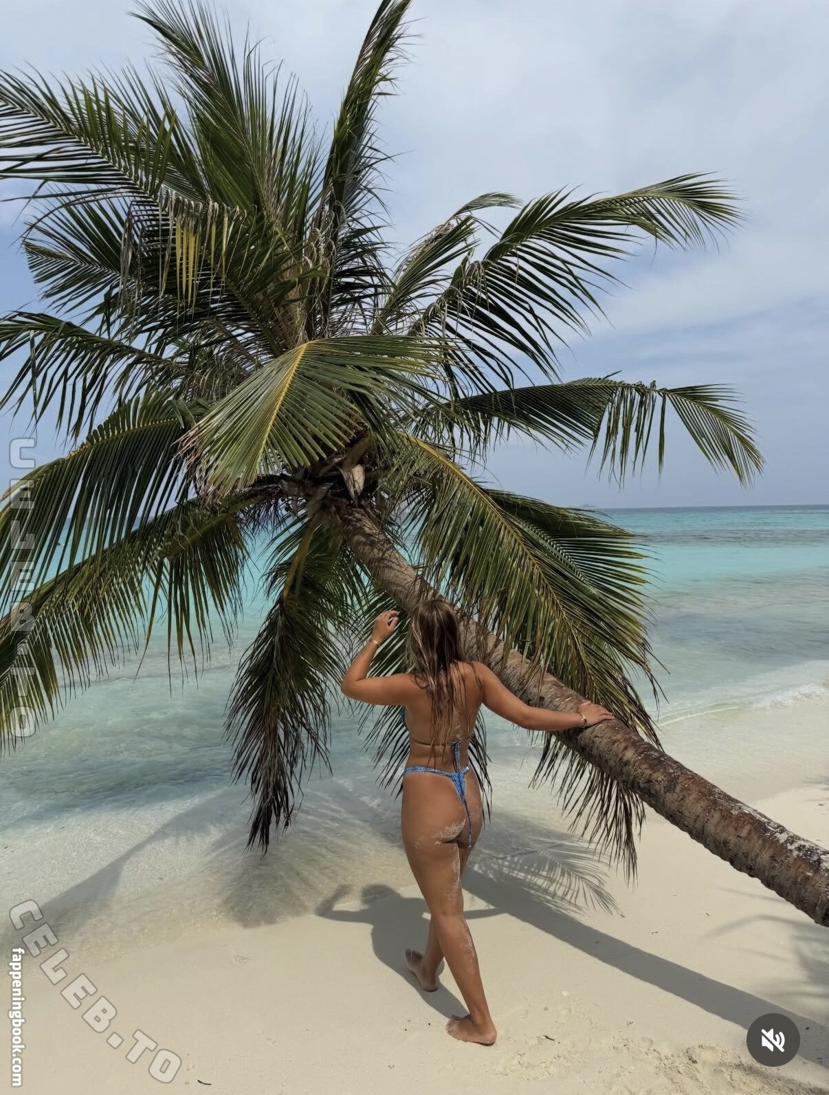 Angelinajoleen_ Nude