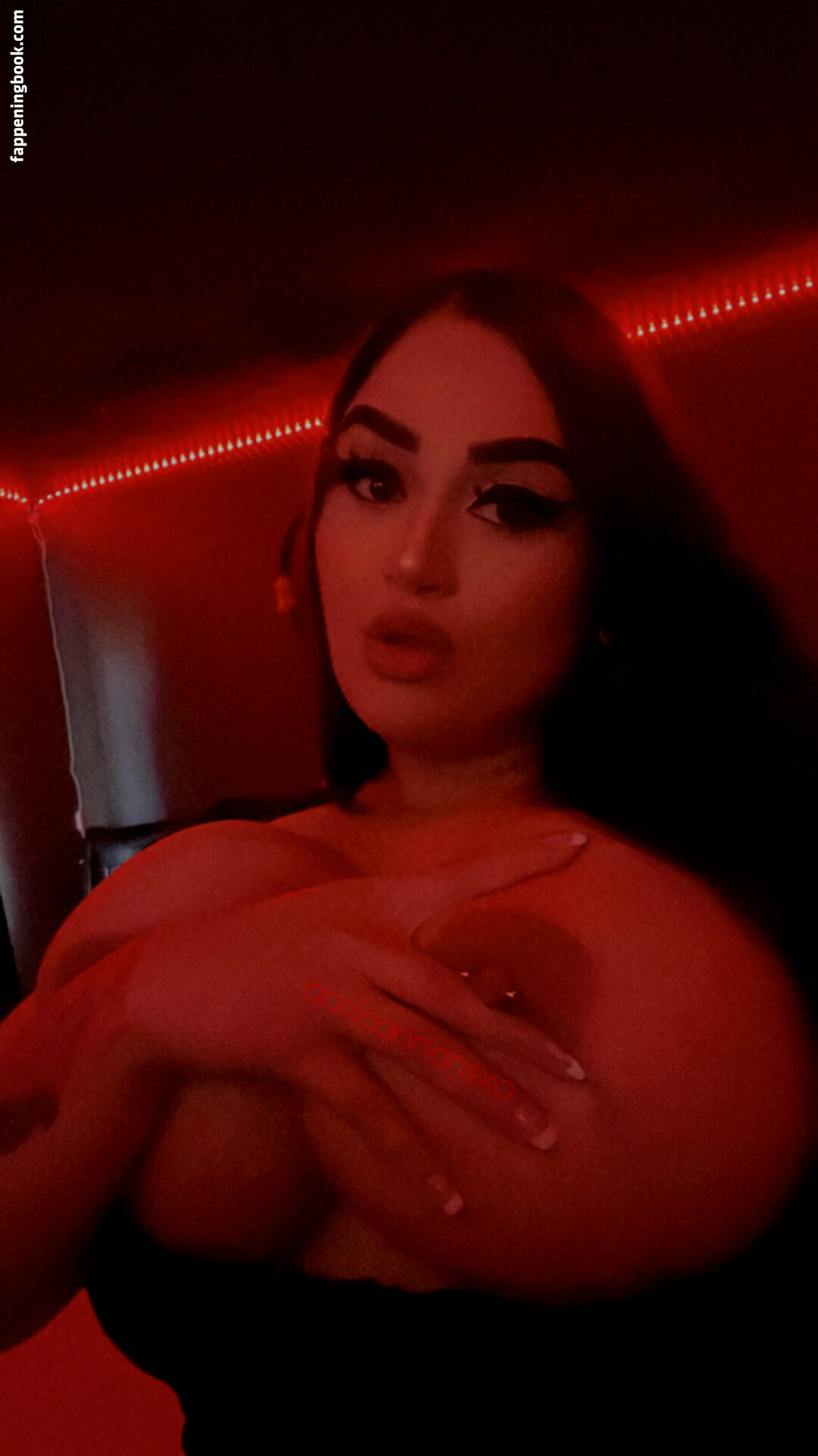 aprilcannonsxo Nude OnlyFans Leaks