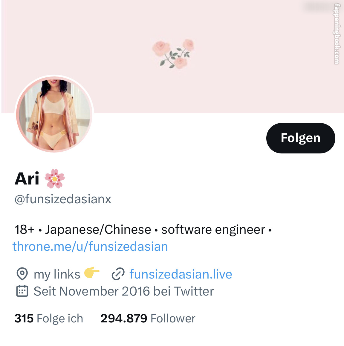 Ari Funsizedasian Funsizedasian Nude Onlyfans Leaks The Fappening