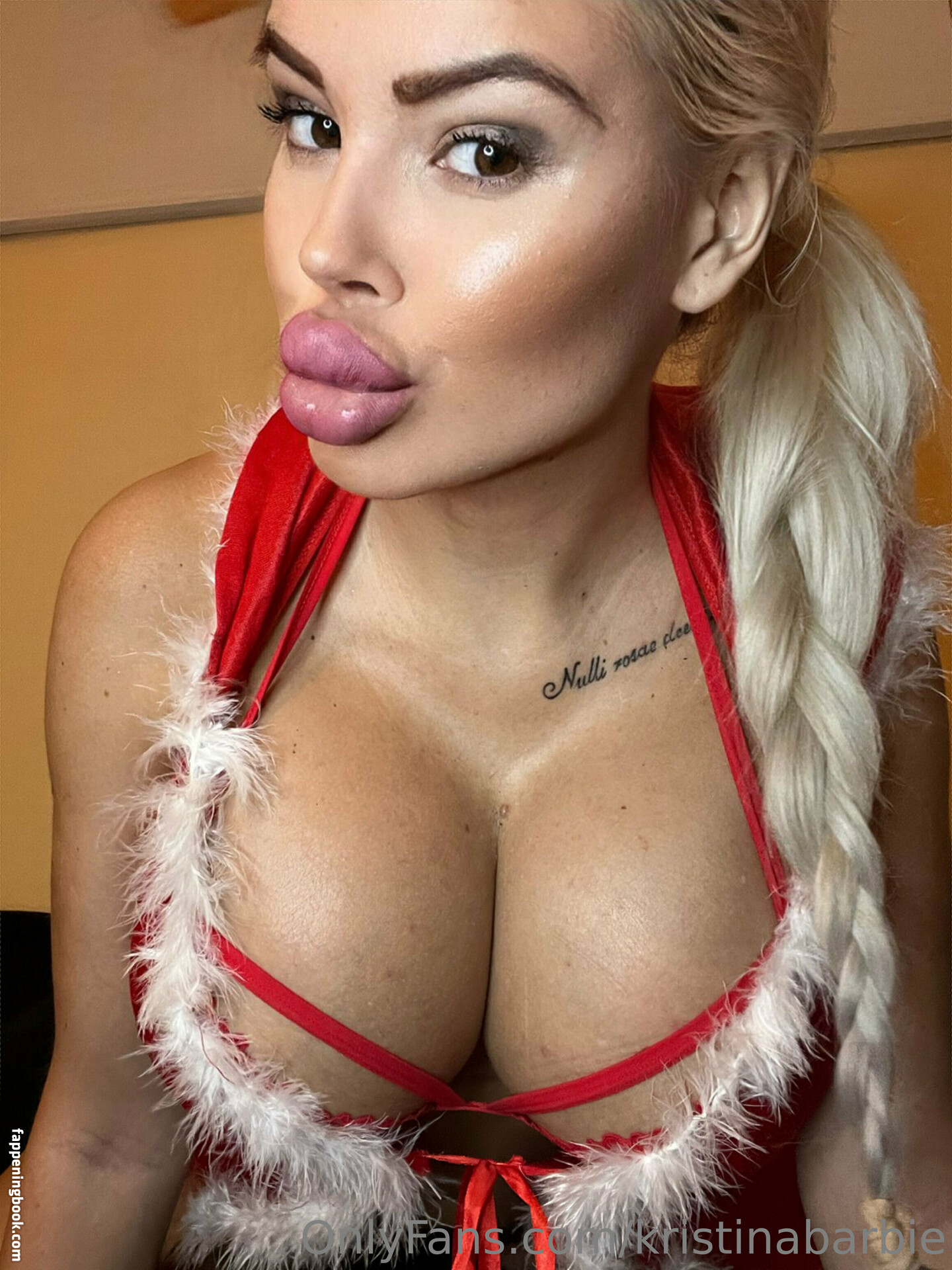 Barbiekristina Nude OnlyFans Leaks