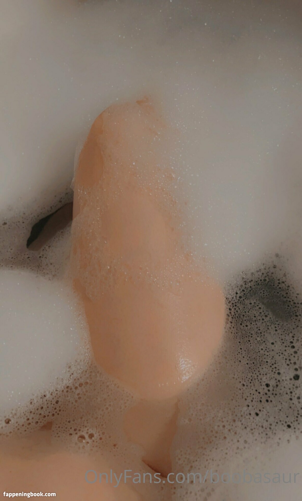 boobasaur Nude OnlyFans Leaks