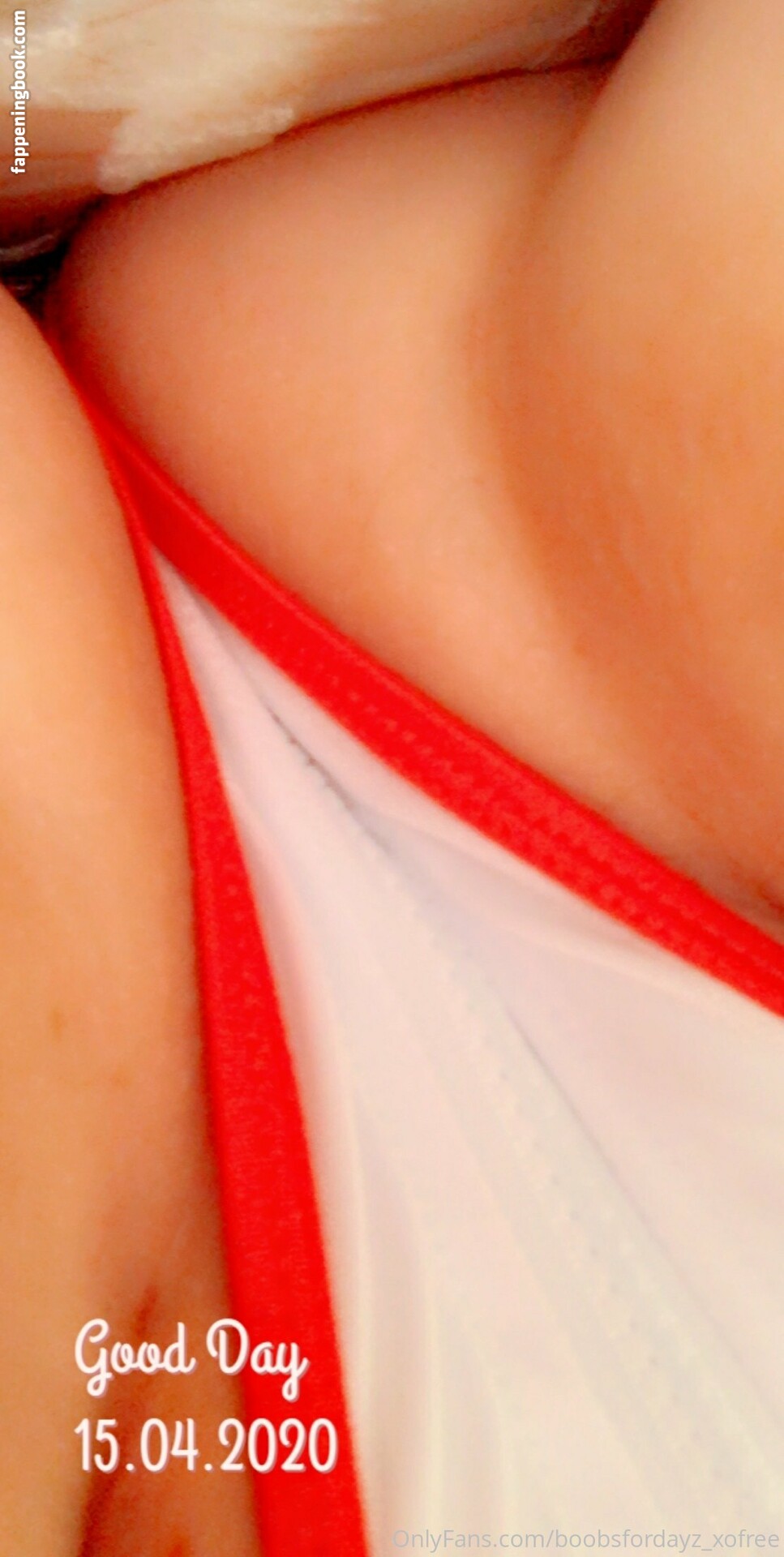 boobsfordayz_xo2 Nude OnlyFans Leaks