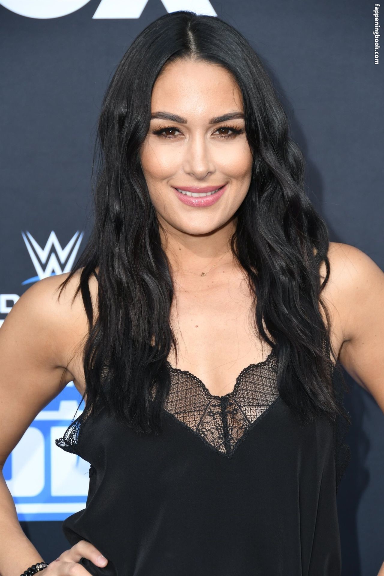 Brie Bella Nude Onlyfans Leaks Fappening Page 2 Fappeningbook