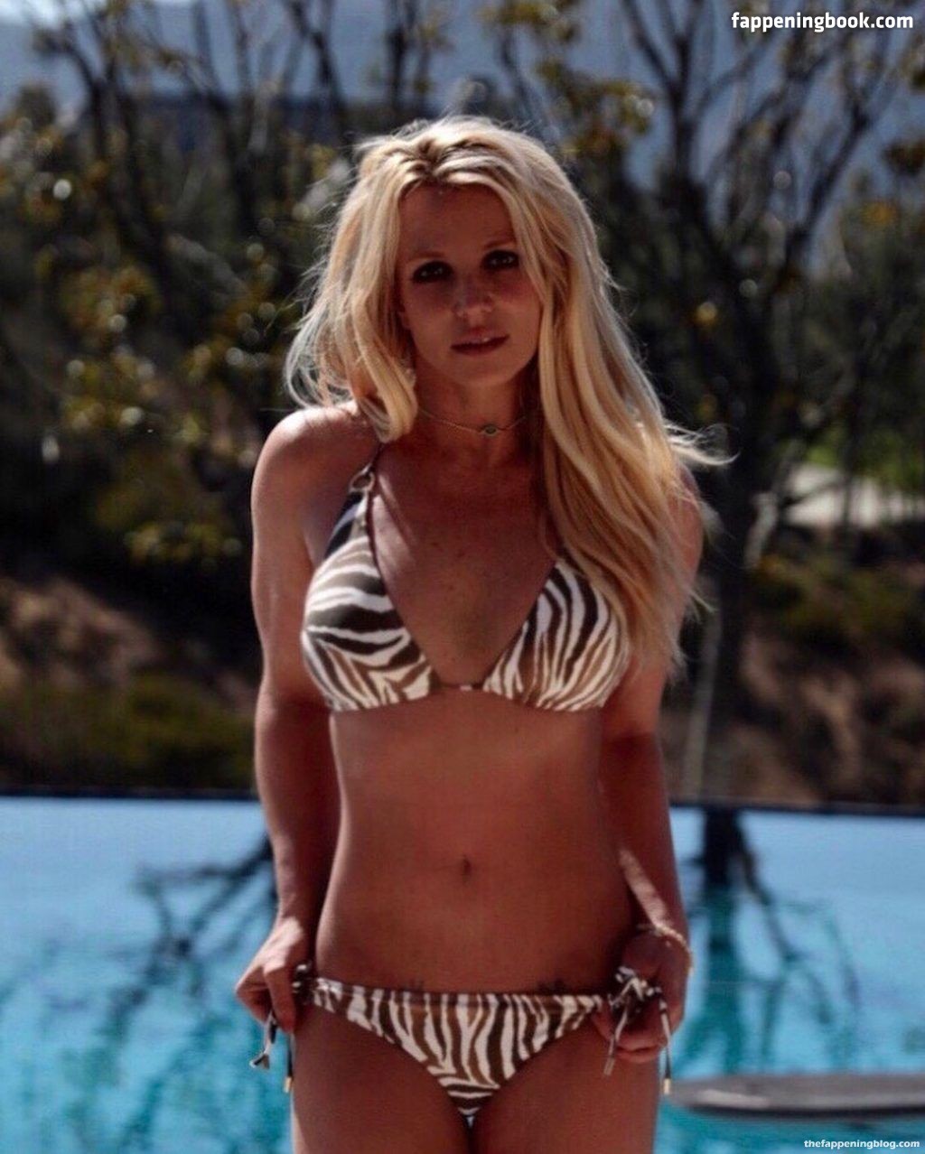 https://fappeningbook.com/photos/b/r/britney-spears/4000/3143.jpg