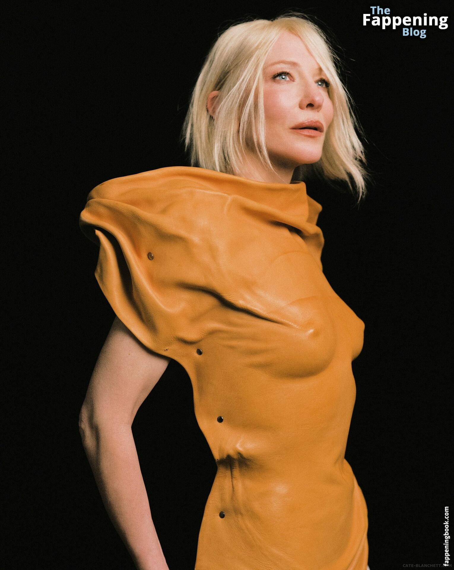 Cate Blanchett erome Latest Exclusive Leaked Photos