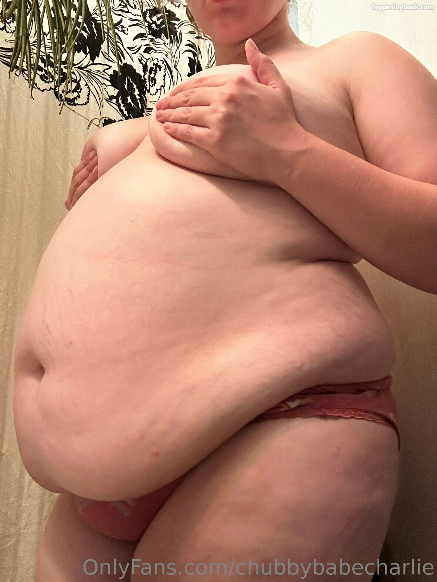 chubbybabecharlie Nude OnlyFans Leaks
