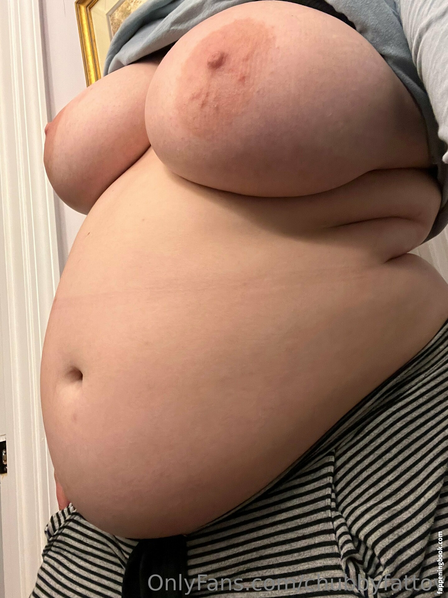 Chubbyfattoy