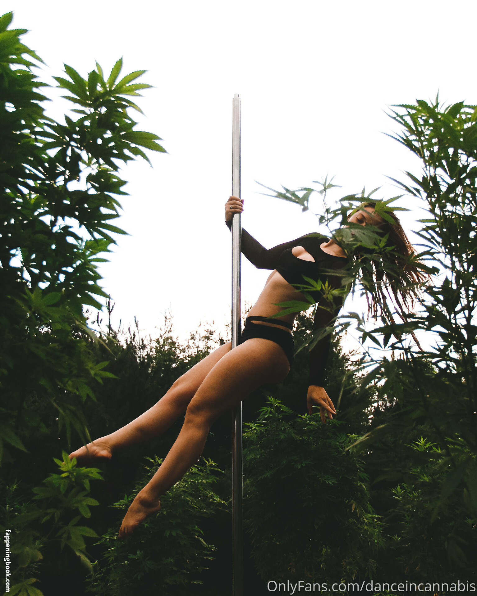 danceincannabis Nude OnlyFans Leaks