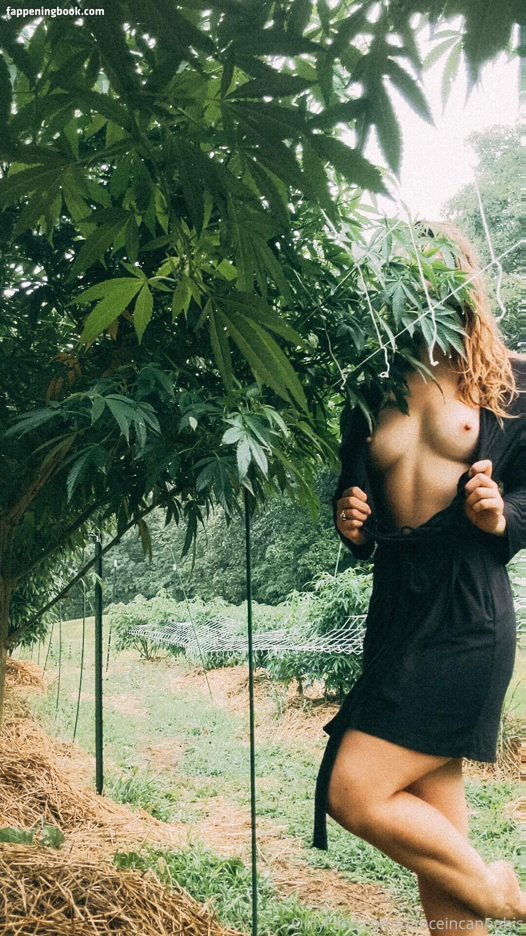 danceincannabis Nude OnlyFans Leaks