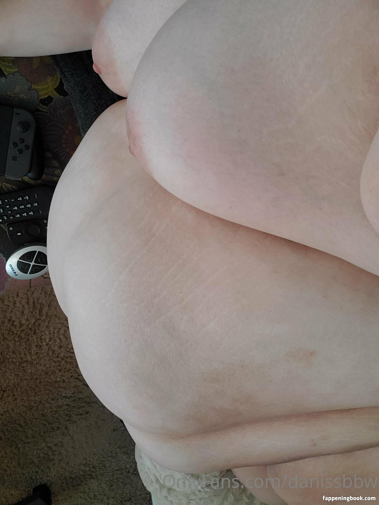 danissbbw Nude OnlyFans Leaks