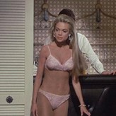 Topless dyan cannon 