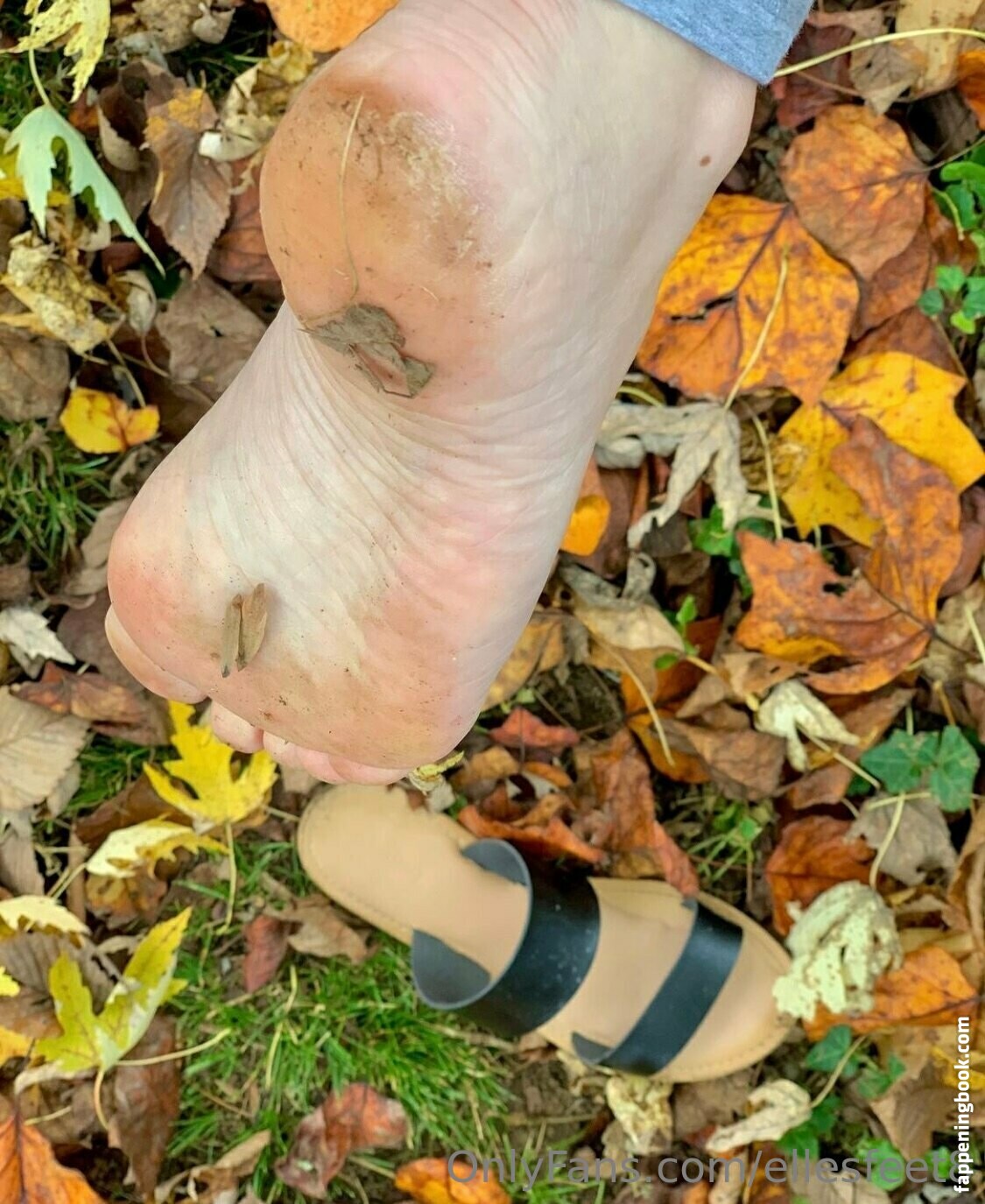 ellesfeet8 Nude OnlyFans Leaks