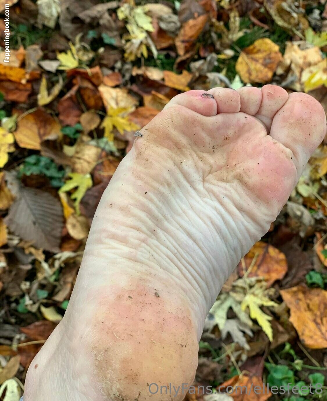 ellesfeet8 Nude OnlyFans Leaks