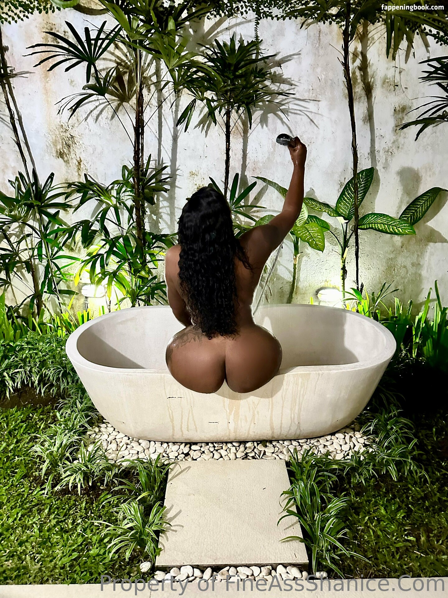 fineassshanice Nude OnlyFans Leaks