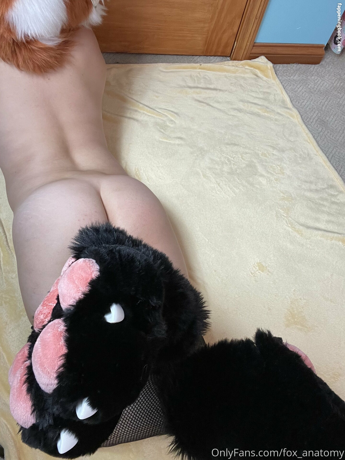 fox_anatomy Nude OnlyFans Leaks