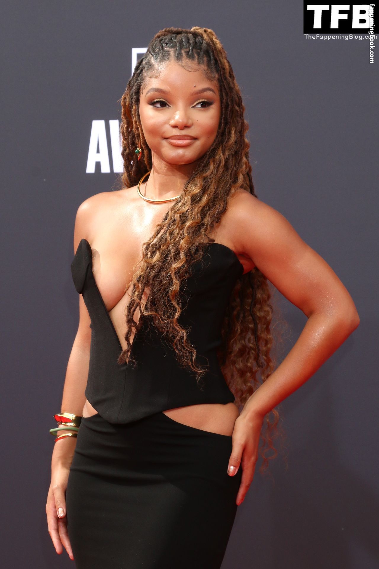 Halle Bailey Nude The Fappening Photo Fappeningbook