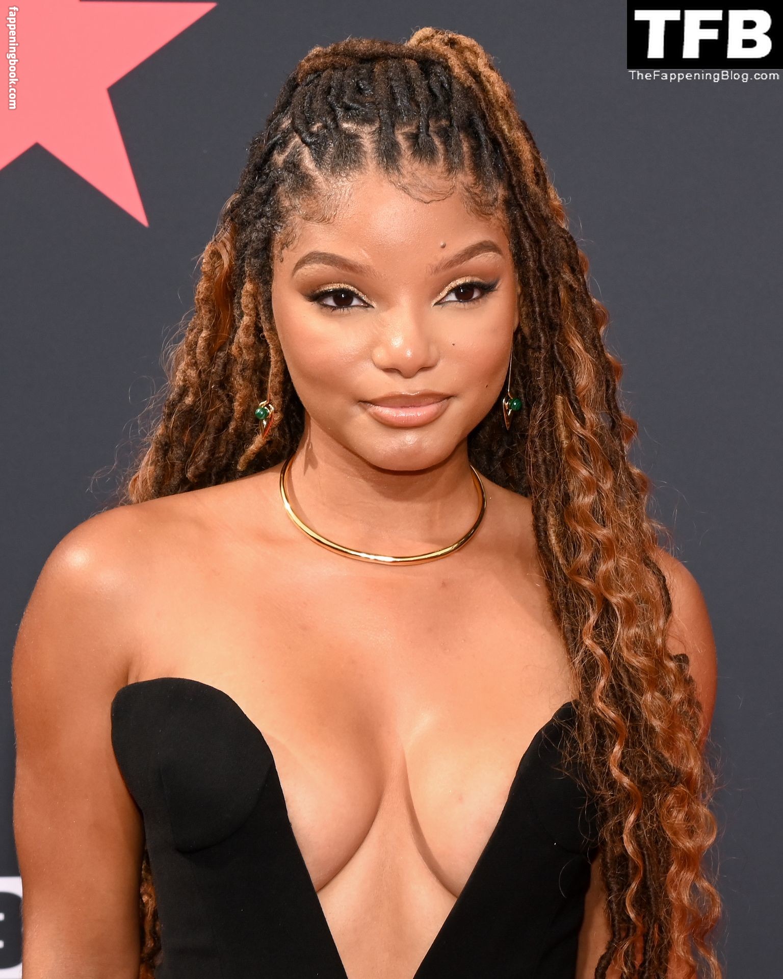 Halle Bailey Nude The Fappening Photo Fappeningbook