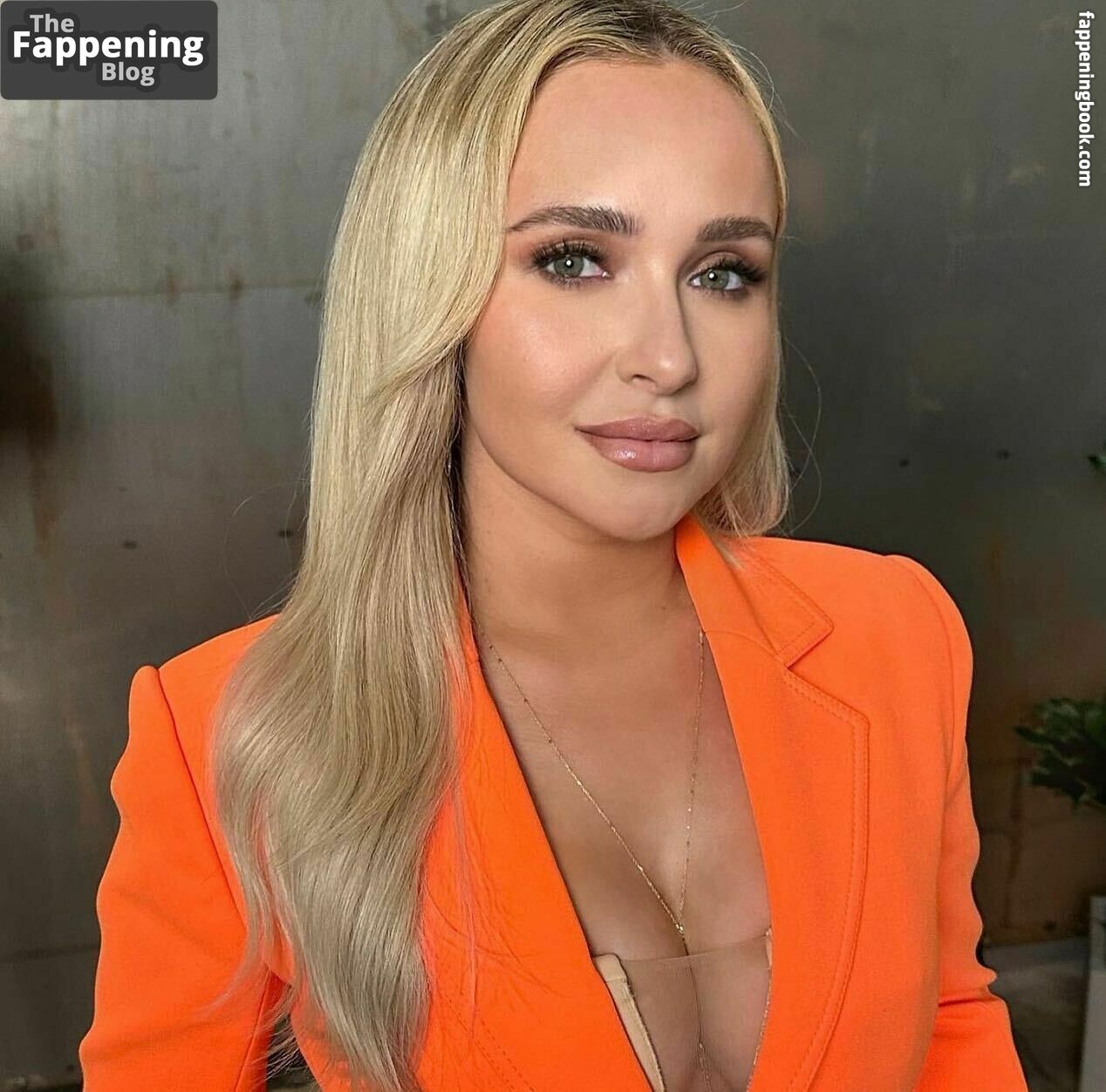 Hayden Panettiere Nude The Fappening Photo Fappeningbook