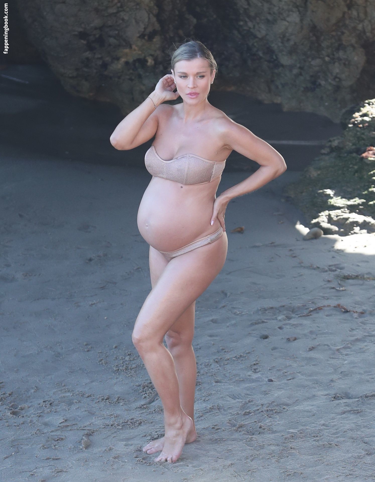 Joanna Krupa Nude