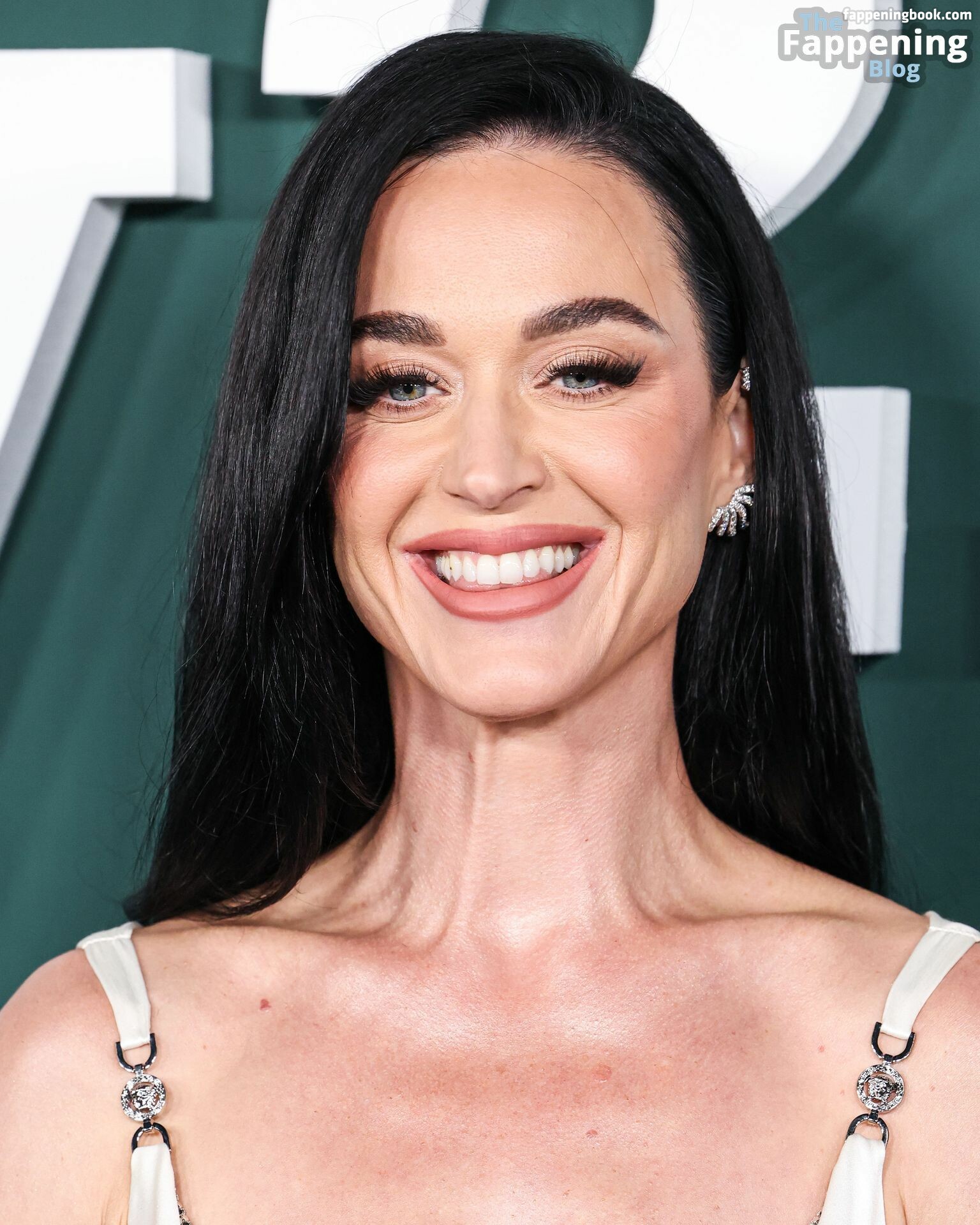 Katy Perry / katyperry Nude, OnlyFans Leaks, The Fappening - Photo #8345601 - FappeningBook