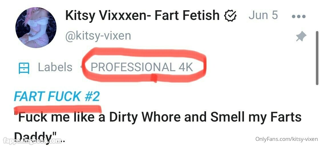 kitsy-vixen / kickxy_vixen_styles Nude, OnlyFans Leaks, Fappening - FappeningBook