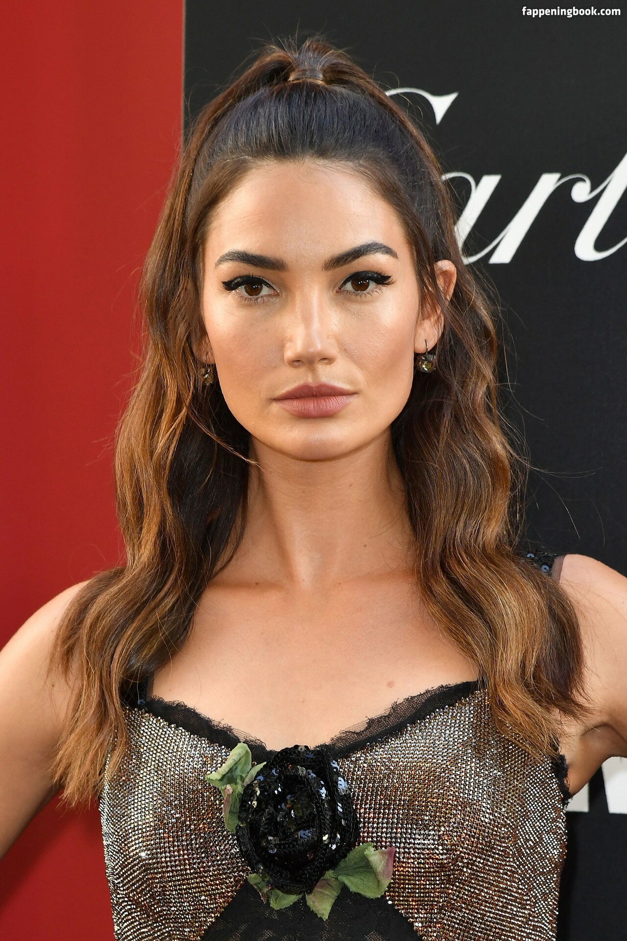 Lily Aldridge erome Latest Exclusive Leaked Photos