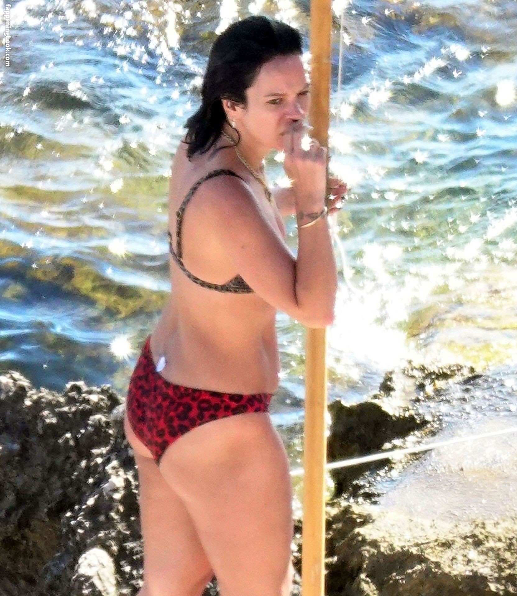 Lily Allen Lilyallen Nude Onlyfans Leaks The Fappening Photo