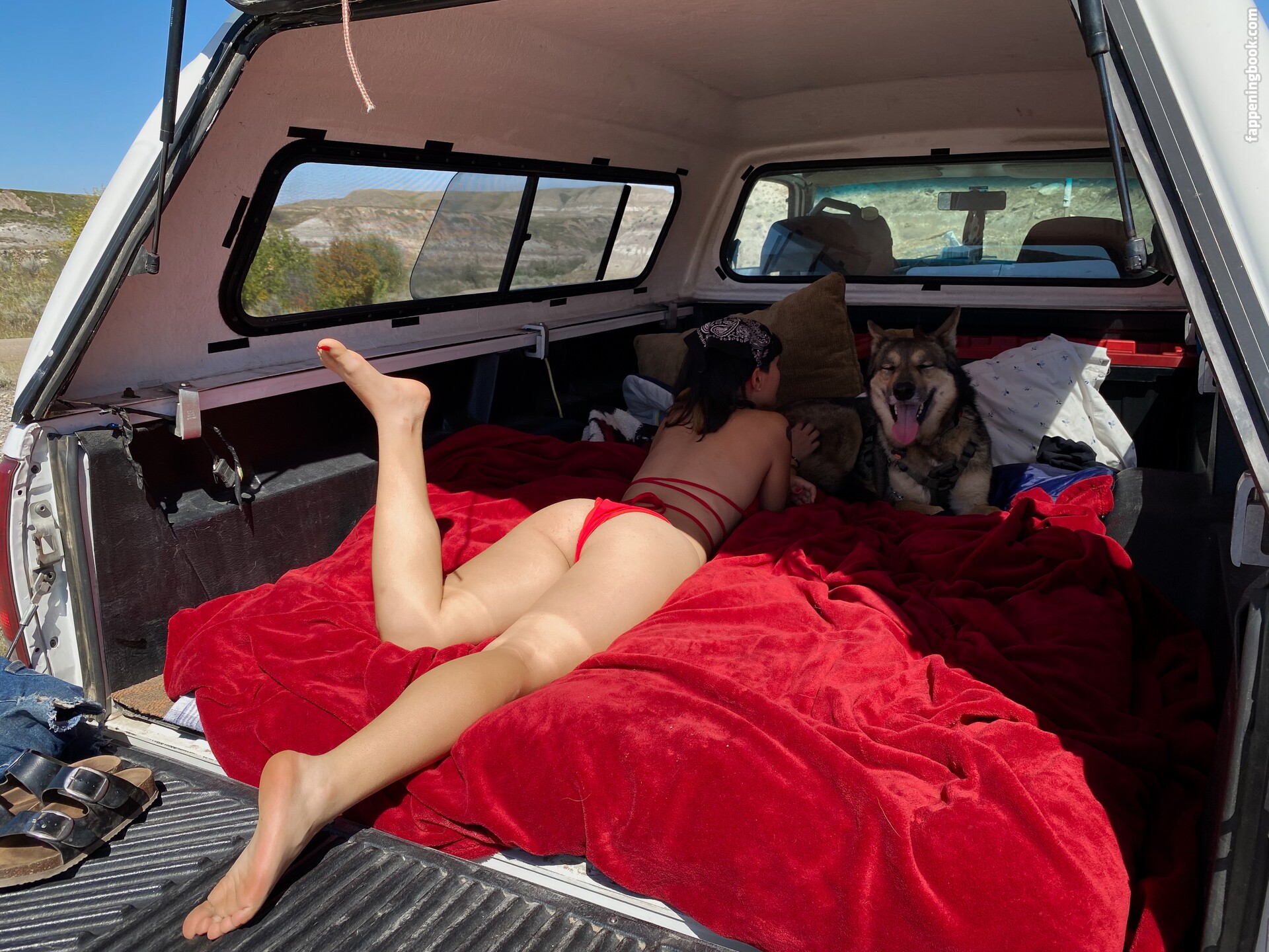 ltl_dog Nude