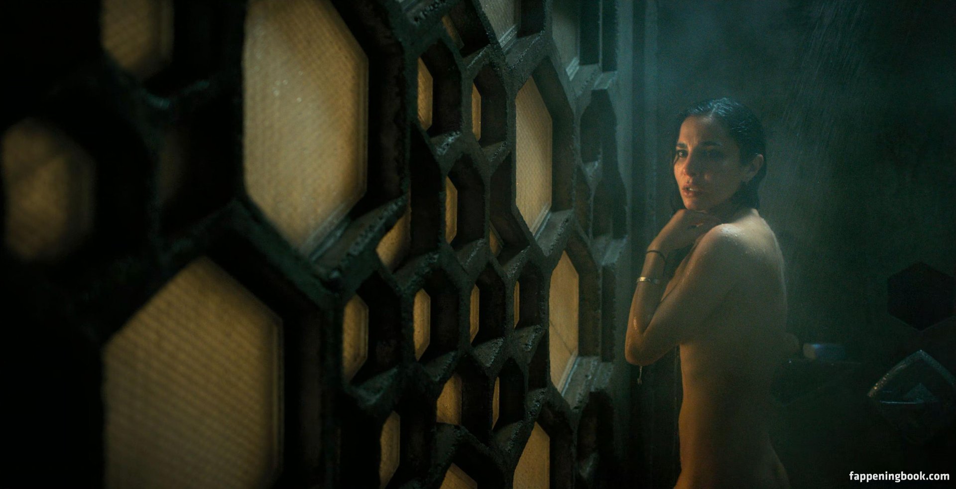 Martha Higareda Nude.