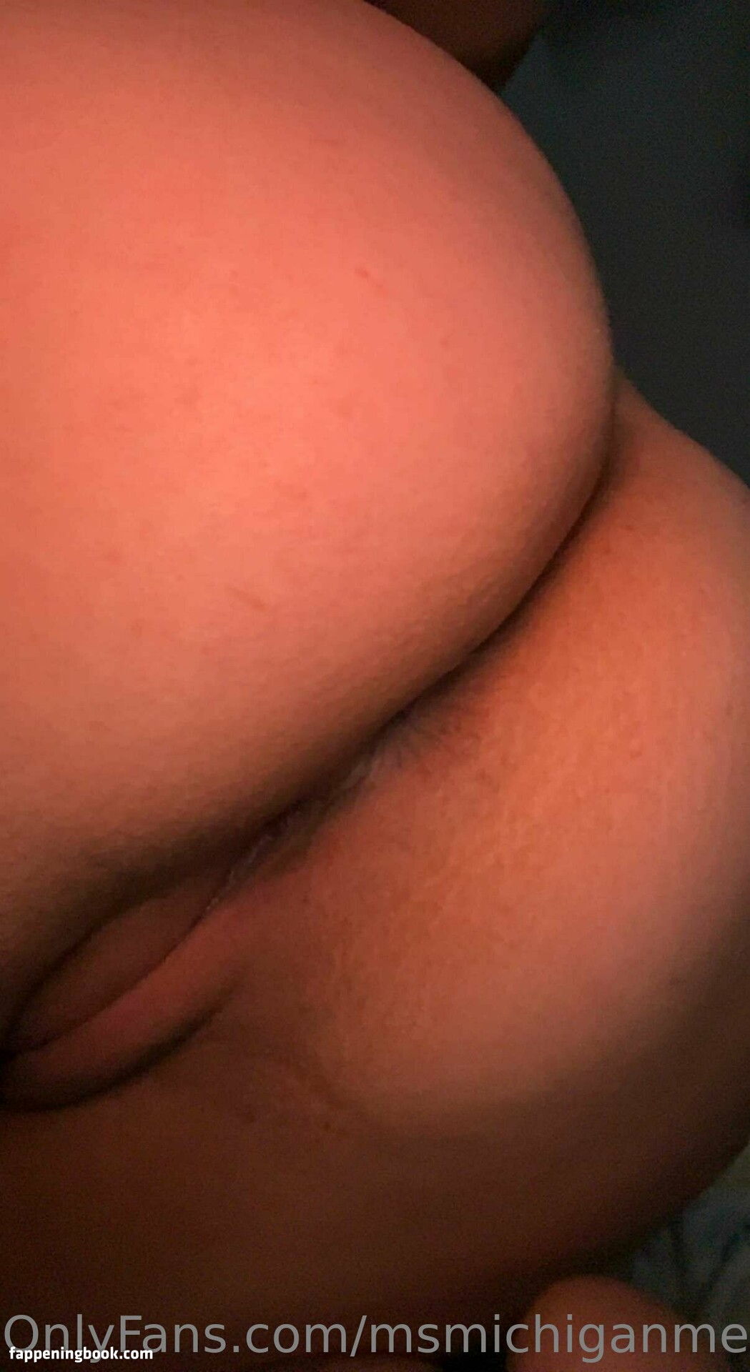 MichiganMelons Nude OnlyFans Leaks