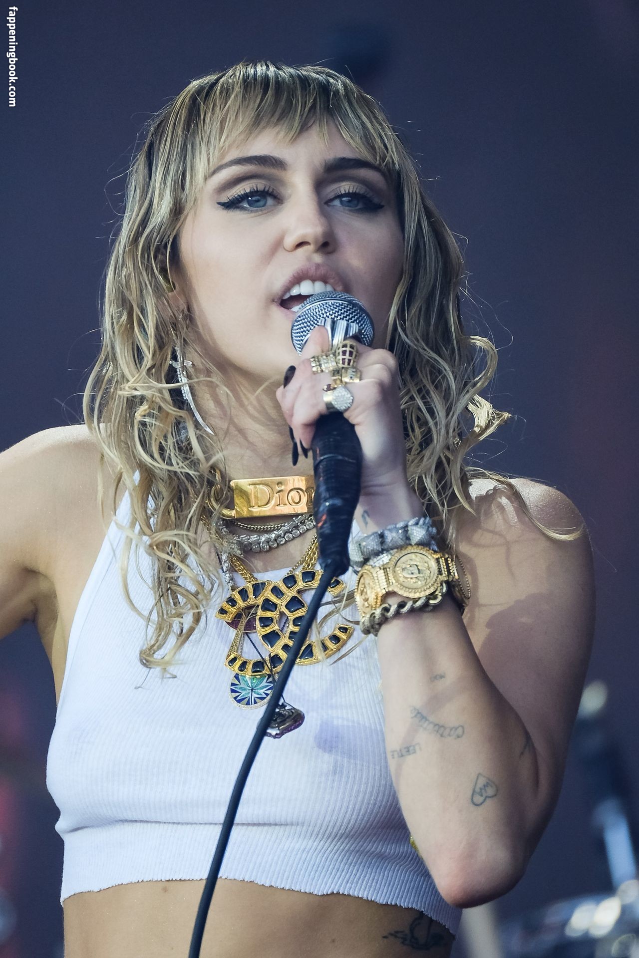 https://fappeningbook.com/photos/m/i/miley-cyrus/3000/2879.jpg