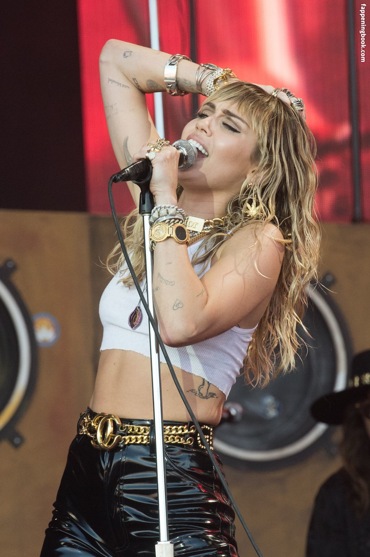 https://fappeningbook.com/photos/m/i/miley-cyrus/3000/2888.jpg