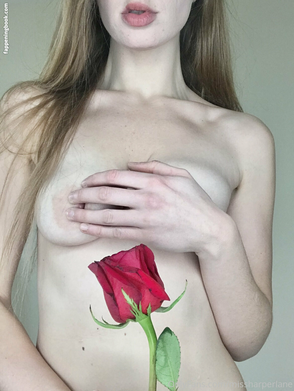 missharperlane Nude OnlyFans Leaks