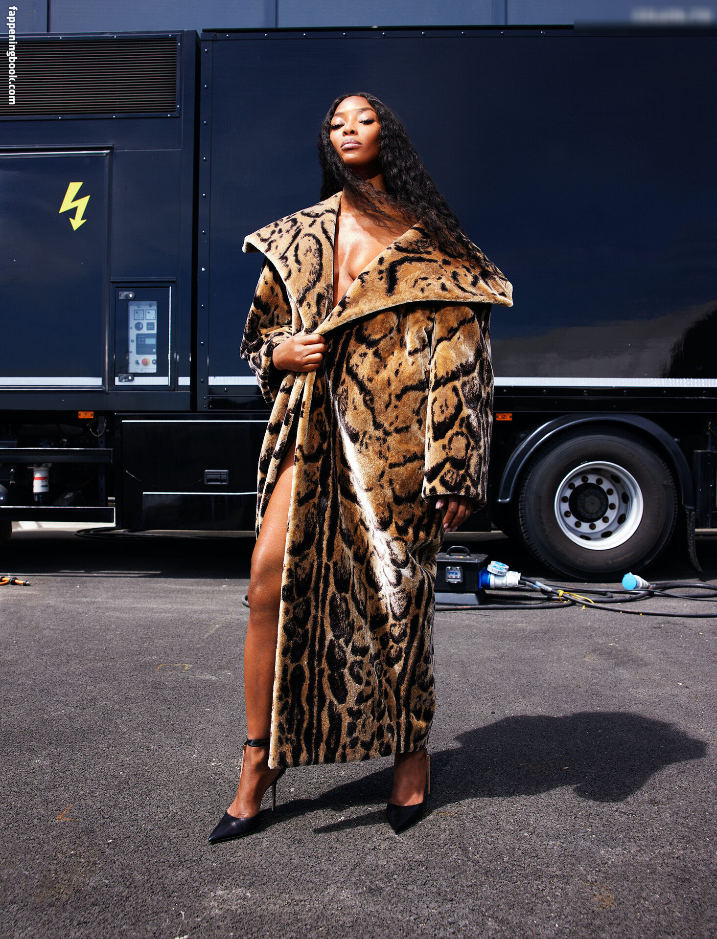 Naomi Campbell Fapello Latest Exclusive Leaked Photos