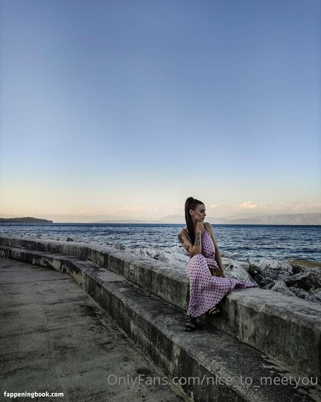 Nice to meetyou Nicetomeetyou Nude OnlyFans Leaks Fappening 