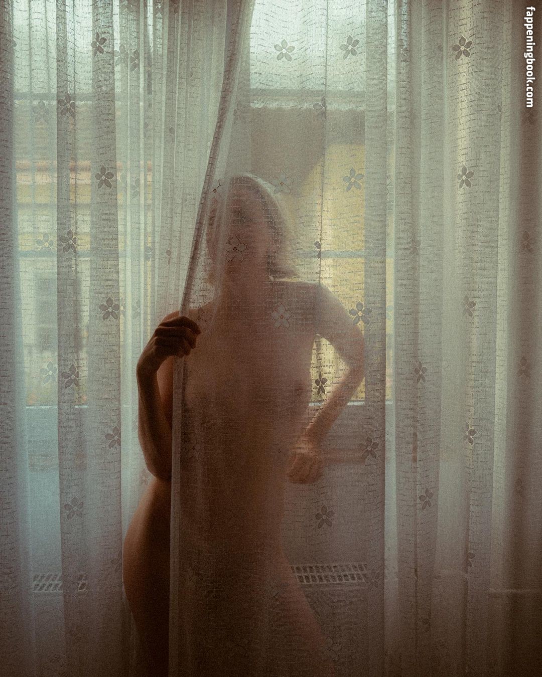 Niki Anson Nude