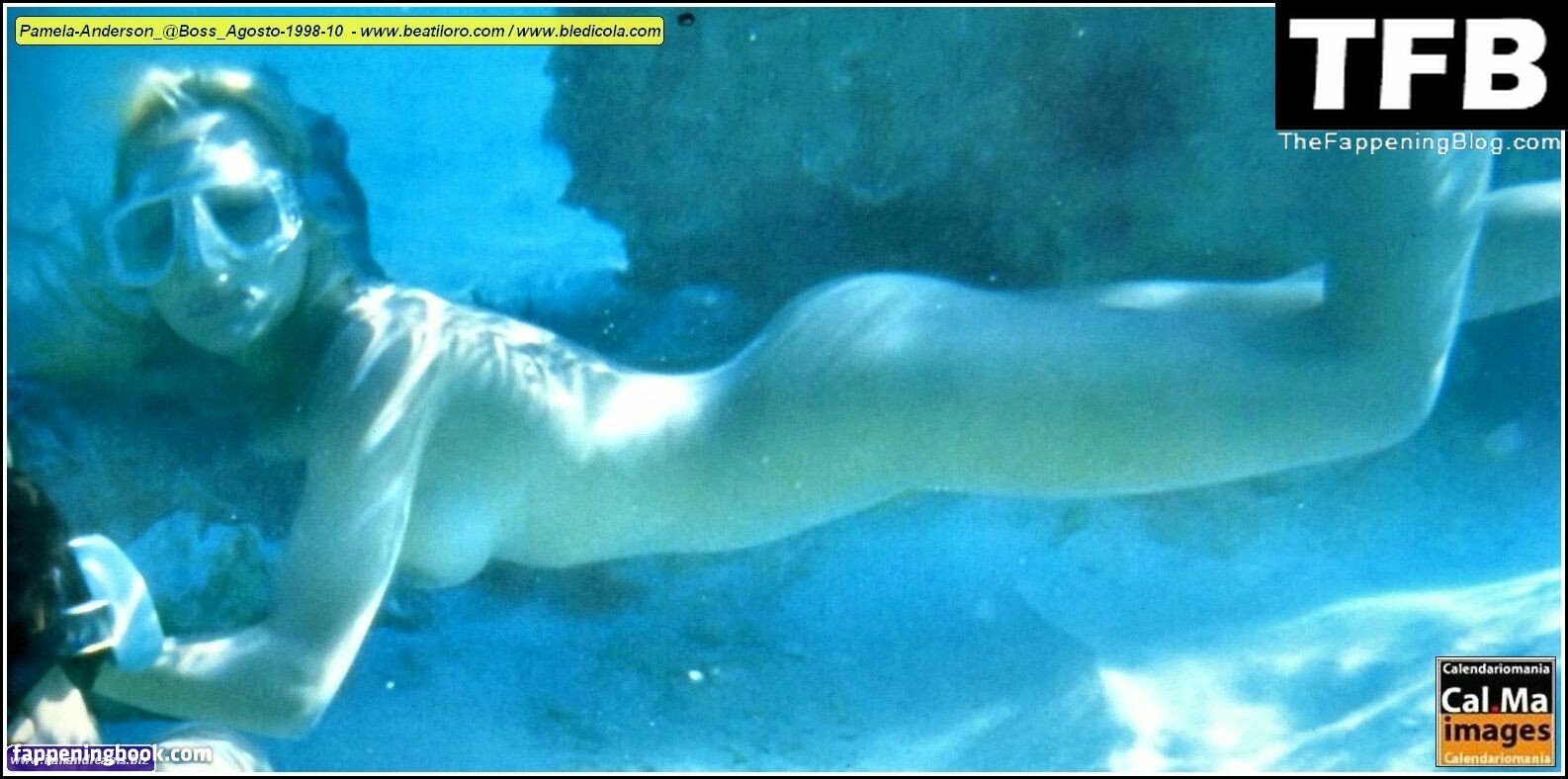 Pamela Anderson Nude OnlyFans Leaks