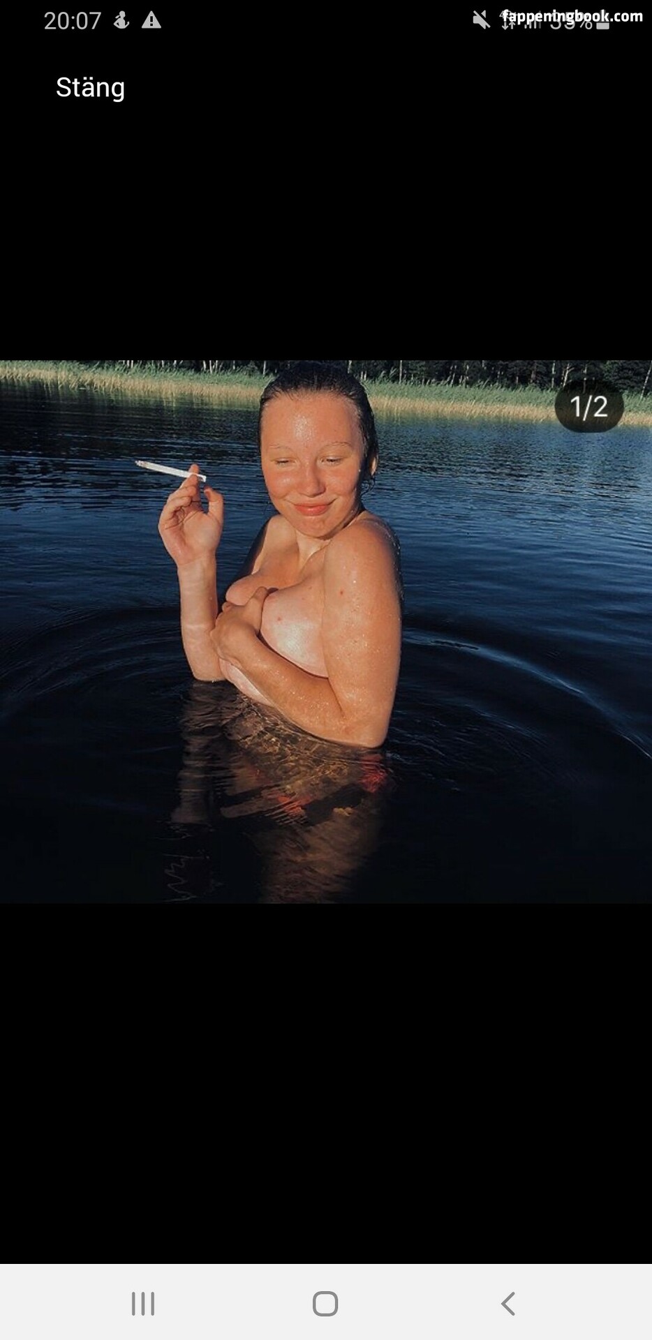 Patricia Larsson Nude