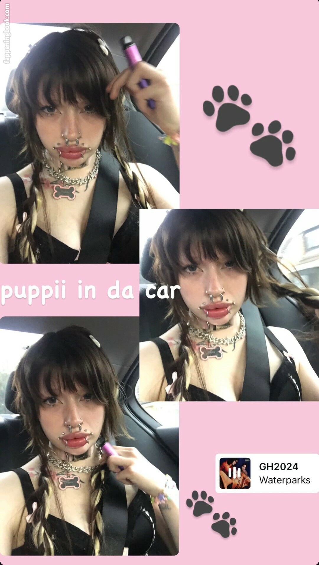 puppy_xox Fapello Latest Exclusive Leaked Photos