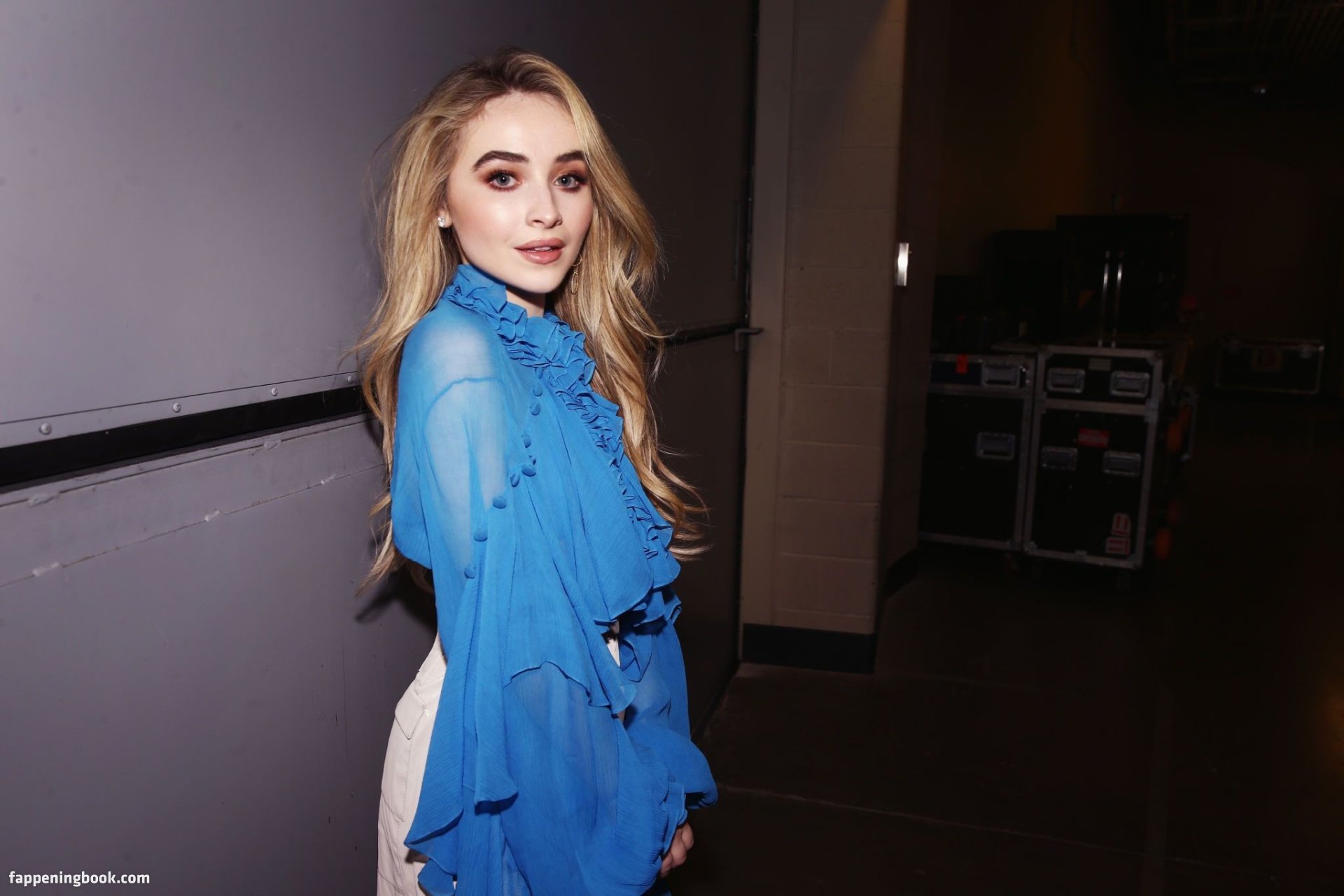 Sabrina Carpenter Porn Telegraph